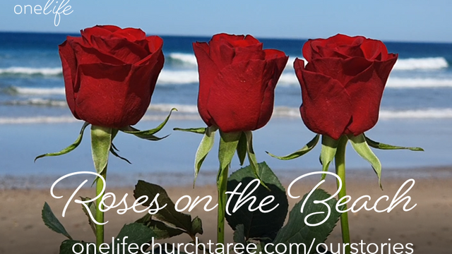 Three roses on the beach.